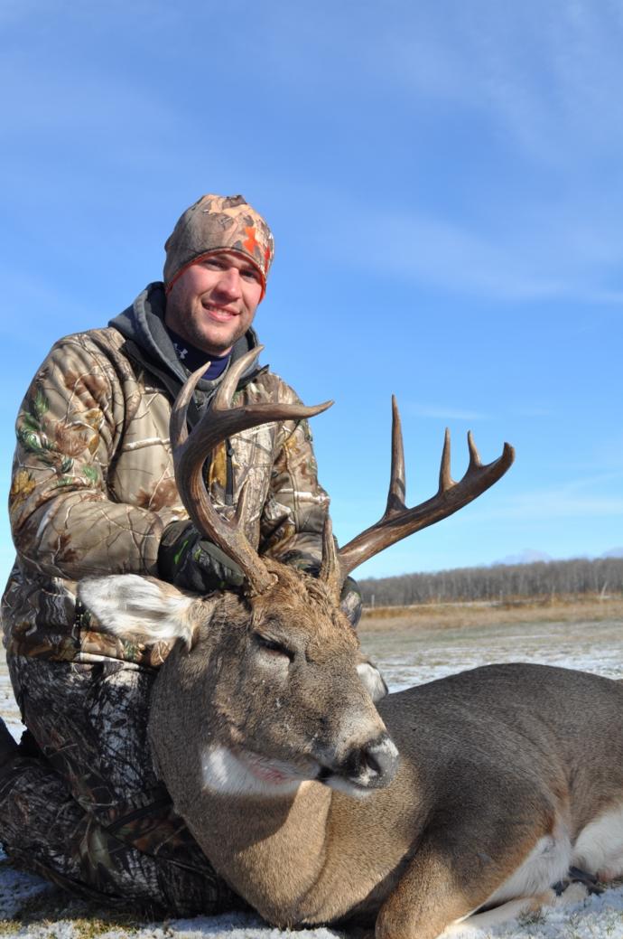 2014 whitetails Photo